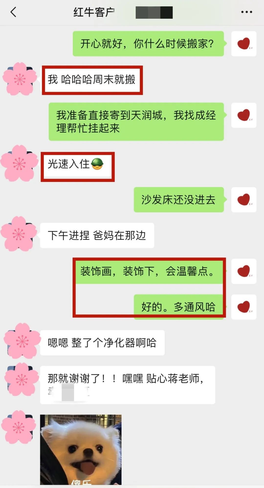喜報｜金秋十月，收獲滿滿，紅牛裝飾再獲三面錦旗！05